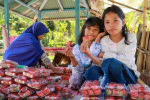 jahody_ovoce_děti_prodejce_muslimka_zemědělci_sembalun_lombok