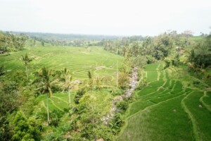 rýžové_terasy_jatiluwih_kintamani_bali_indonésie