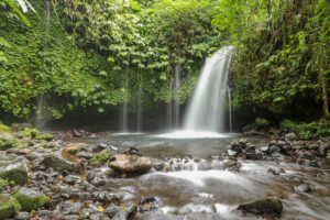 vodopád_Yeh ho_ prales