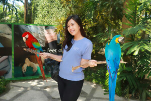 Dívka s papoušky Blue-throated Macaw a Red-and-green Macaw